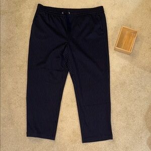 LOFT Navy Pants w/ White Pinstripes